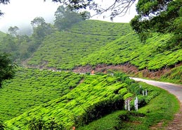 Hill Stations in Kerala